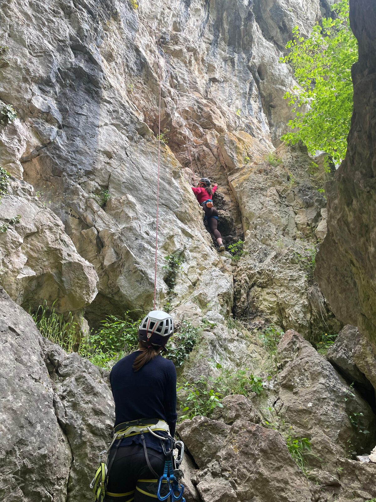Iznad svega